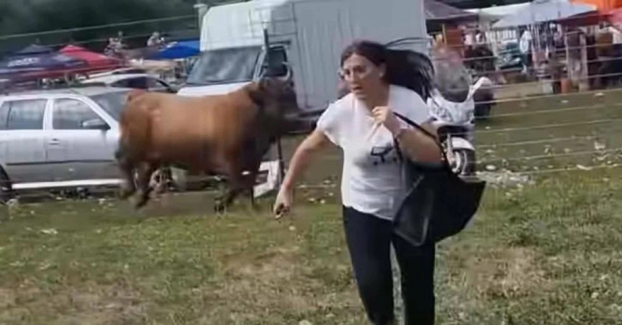 Na fešti u Hercegovini bik uletio među publiku, ljudi su u panici bježali. Pogledajte snimku!